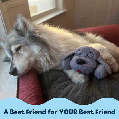 Snuggle Puppy® - Medium / Gray