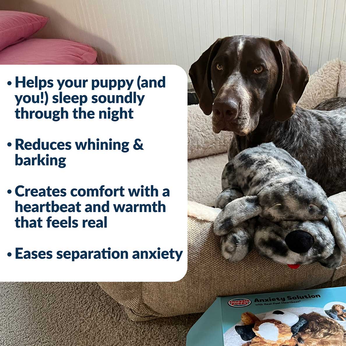Snuggle Puppy® - Medium / Merle