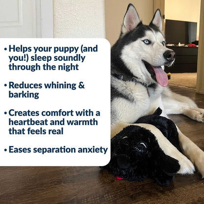 Snuggle Puppy® - Medium / Black