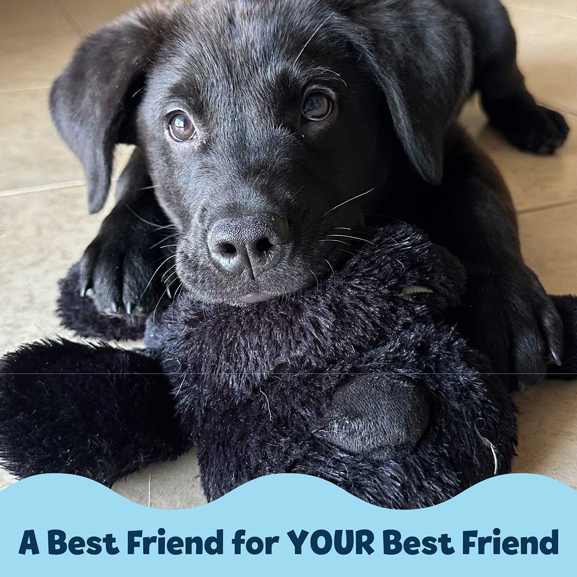 Snuggle Puppy® - Medium / Black