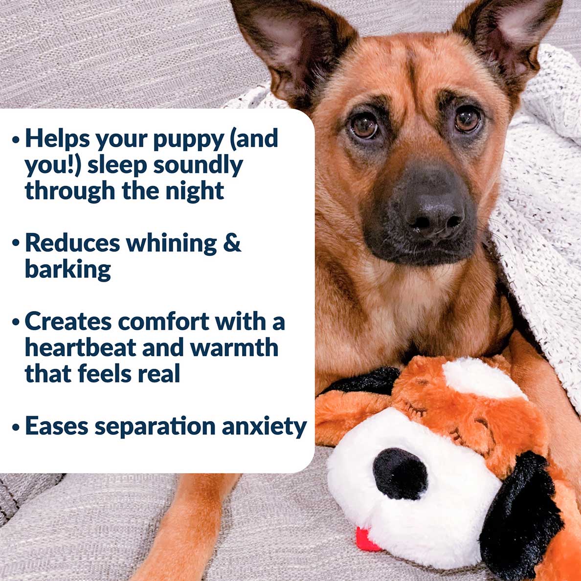 Snuggle Puppy® - Medium / Beagle