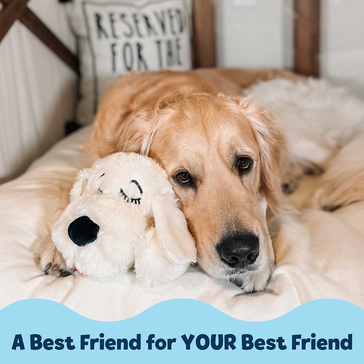 Snuggle Puppy® - Medium / Cream