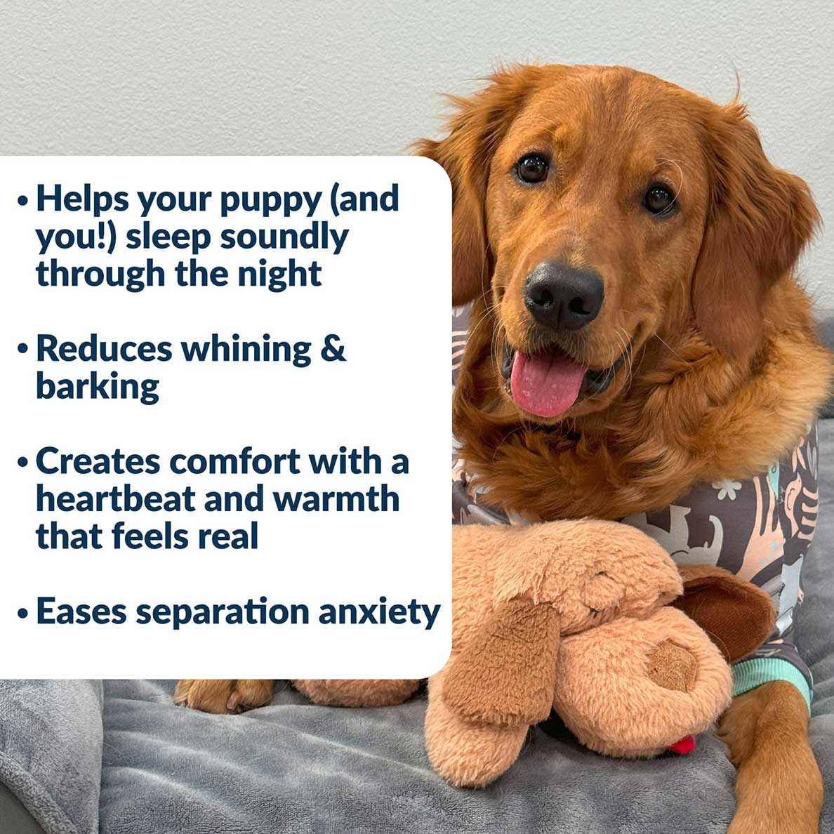 Snuggle Puppy® - Medium / Biscuit
