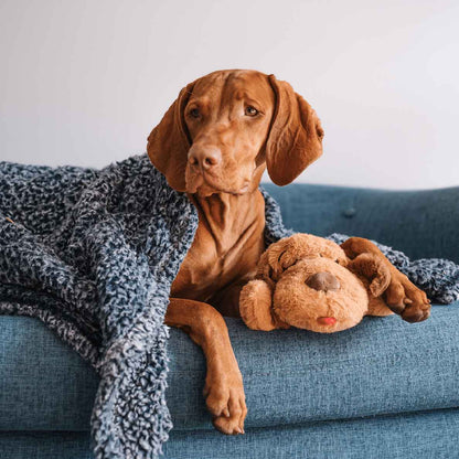 Snuggle Puppy® Out-of-Box Special, Medium Biscuit