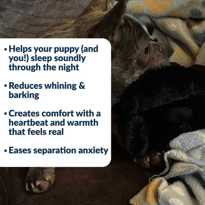 Snuggle Puppy® - Small / Black