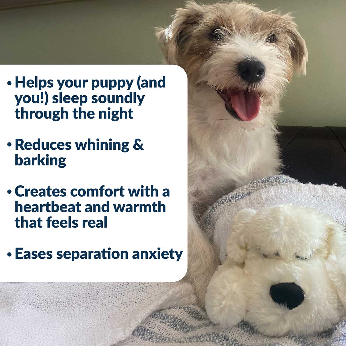 Snuggle Puppy® - Small / Cream