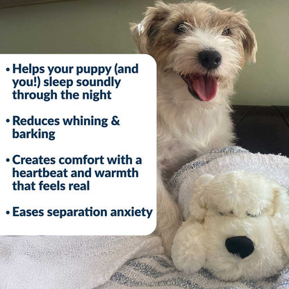 Snuggle Puppy® - Small / Cream