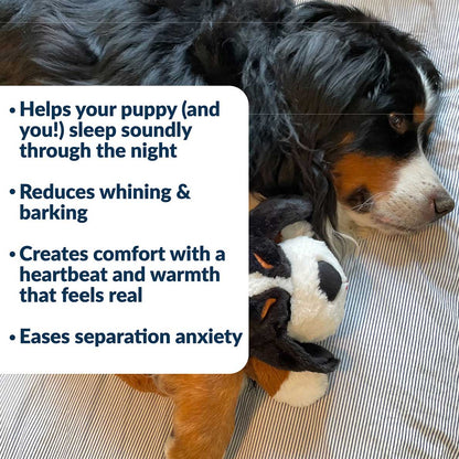 Snuggle Puppy® - Medium / Bernese