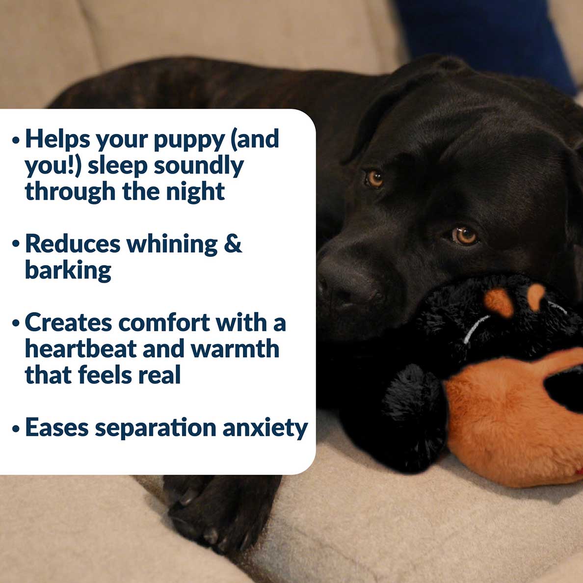 Snuggle Puppy® - Large / Rottie