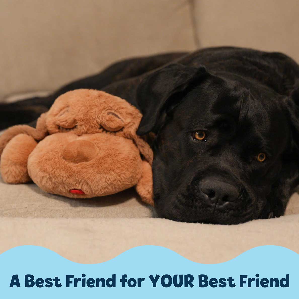 Snuggle Puppy® - Large / Biscuit