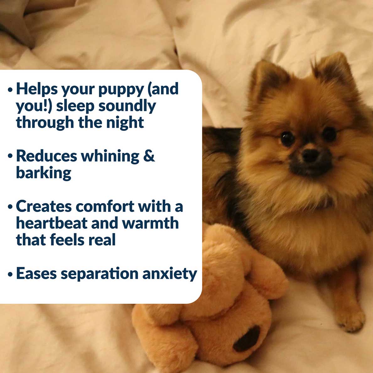 Snuggle Puppy® - Small / Biscuit