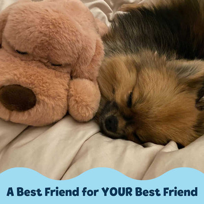 Snuggle Puppy® - Small / Biscuit